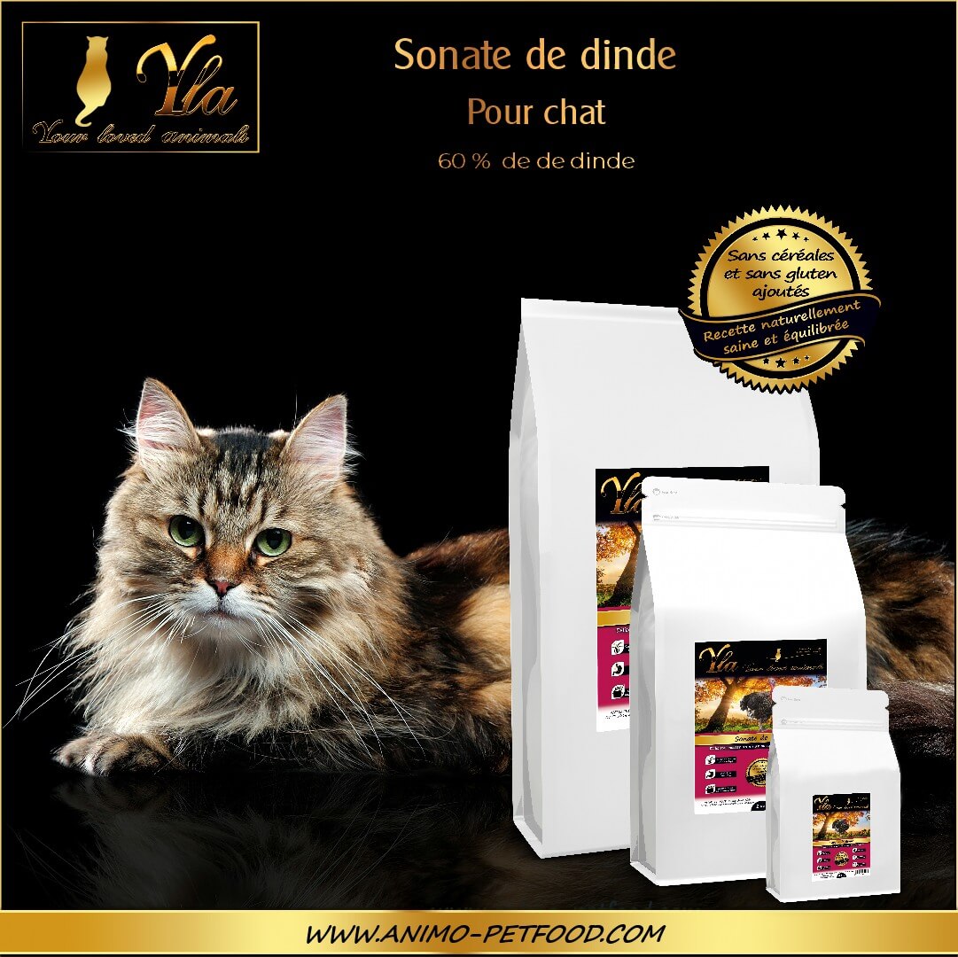 nourriture-sans-cereale-hypoallergeniques-chat